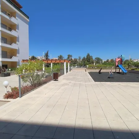 Palmeiras De Jv Lagos