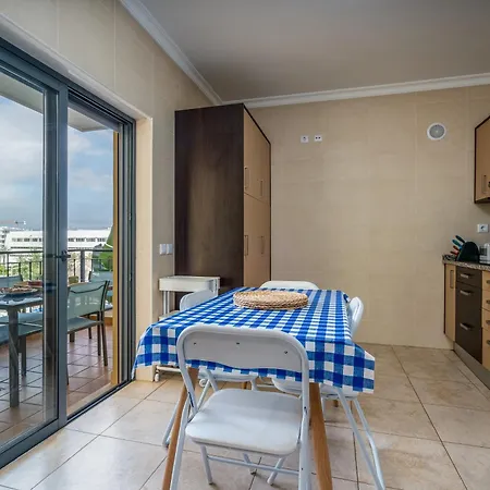 Palmeiras De Jv Lagos